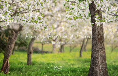 Flowering Forest Trees