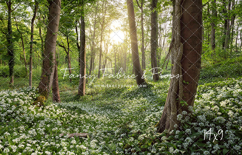 Flowering Forest White Meadow
