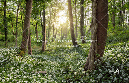 Flowering Forest White Meadow
