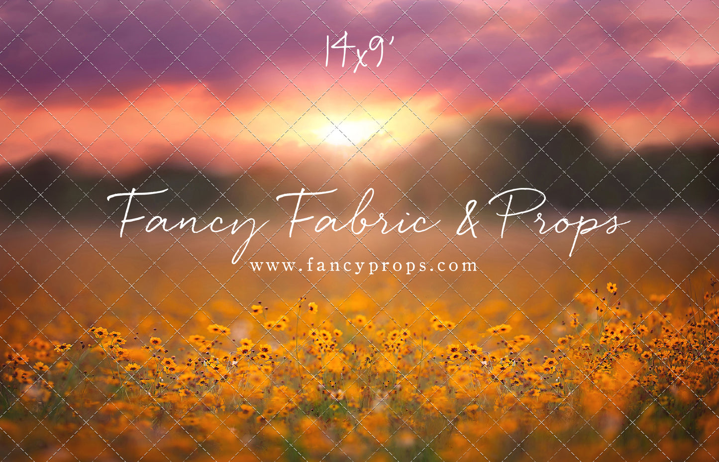 Golden Hour Wildflowers