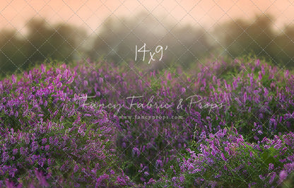 Love In Lavender