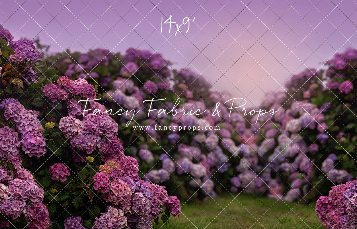 Purple Hydrangea Hollow