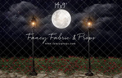 Romantic Moonlit Stroll