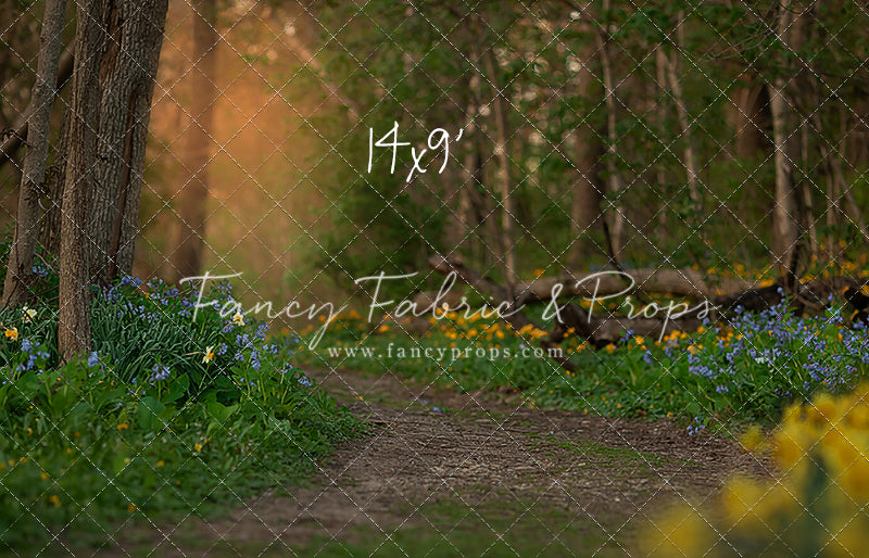 Spring Bluebell Path