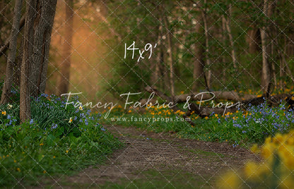 Spring Bluebell Path