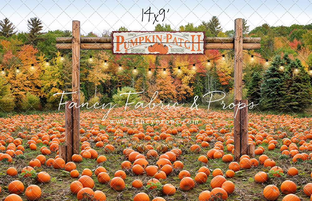Welcome To The Pumpkin Patch