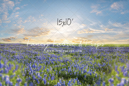 Blue Bonnet Afternoon