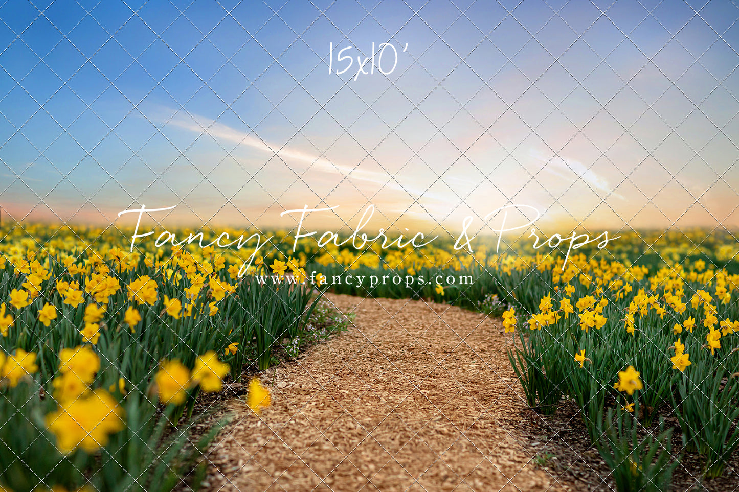 Daffodil Path