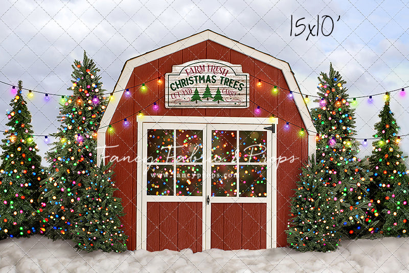 Farm Festive Christmas Trees