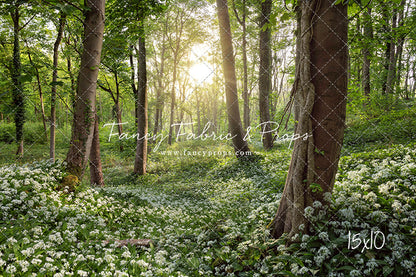 Flowering Forest White Meadow
