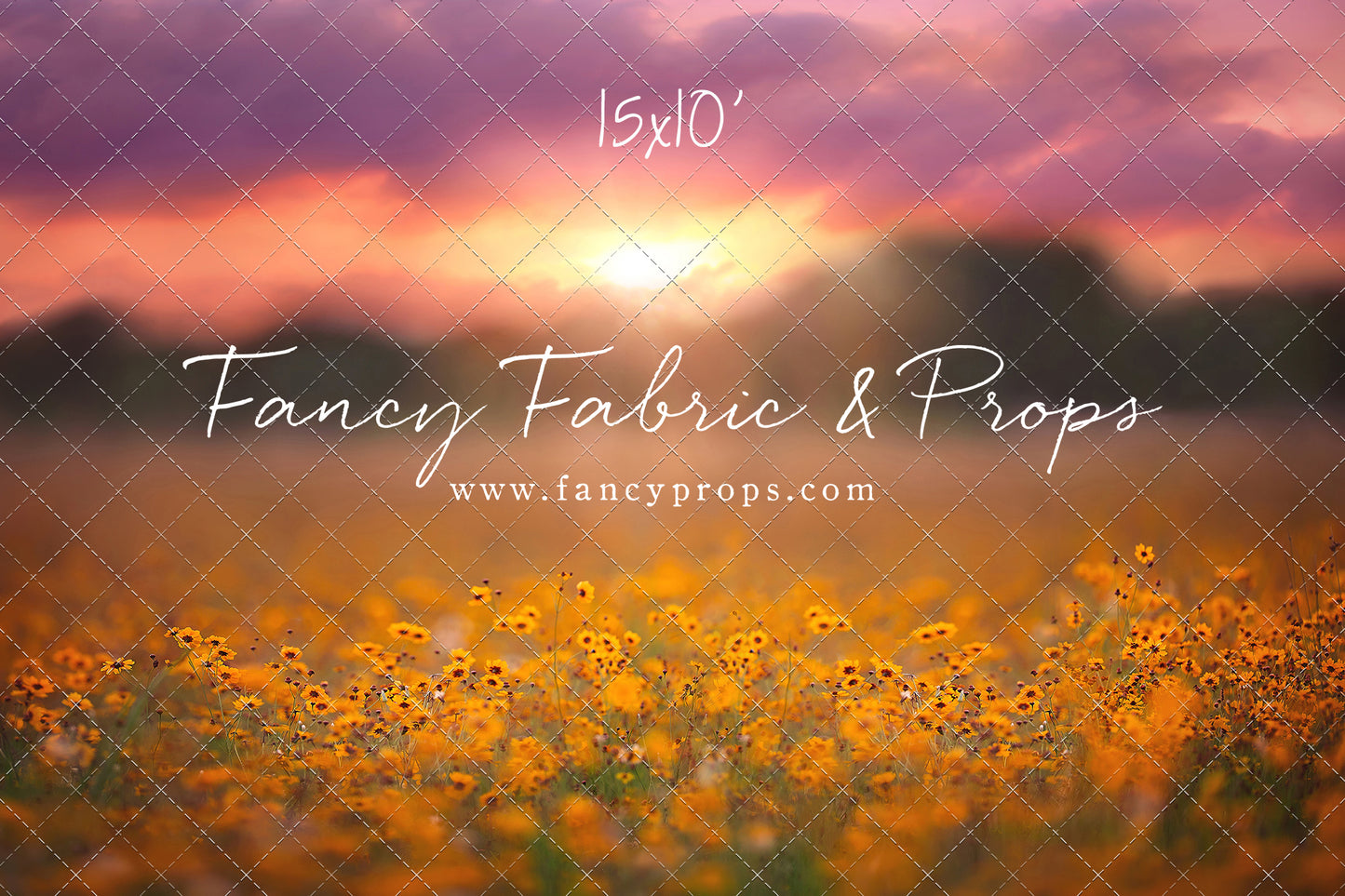 Golden Hour Wildflowers