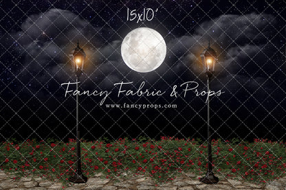 Romantic Moonlit Stroll