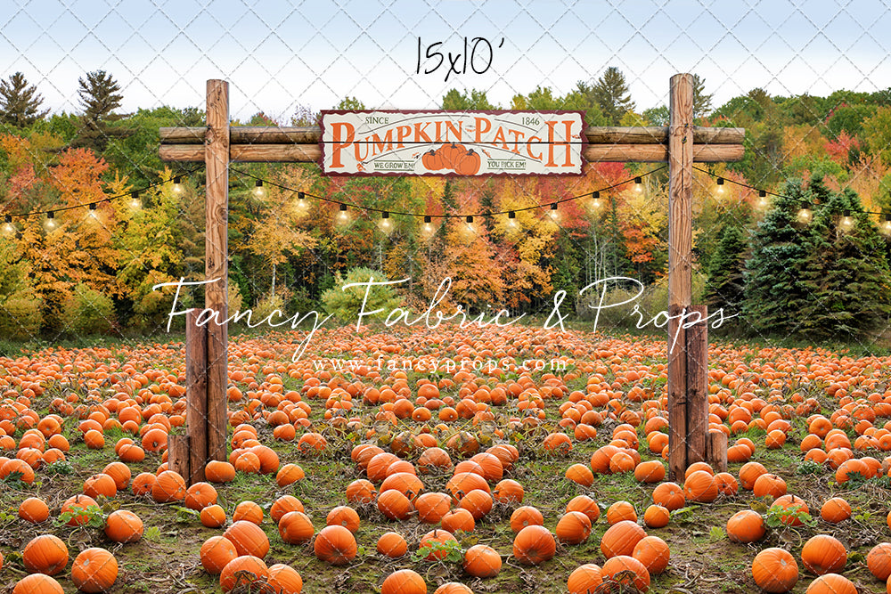 Welcome To The Pumpkin Patch