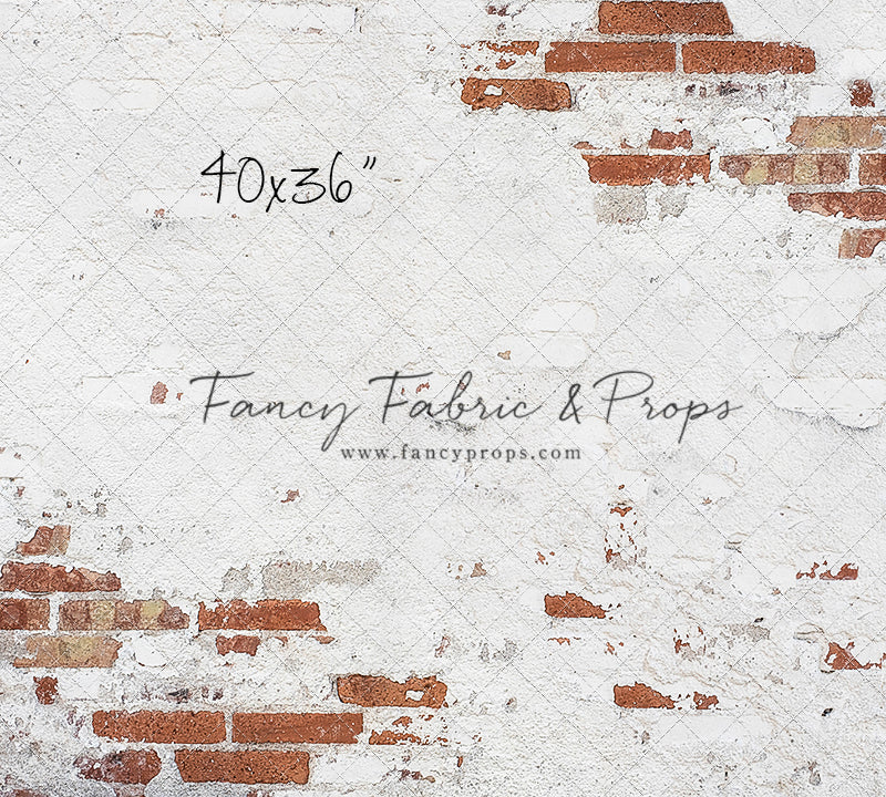 Barcelona Brick Wall - Petite