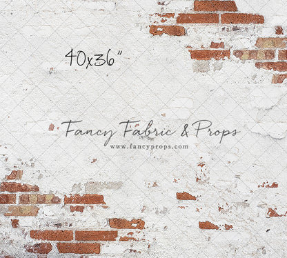 Barcelona Brick Wall - Petite