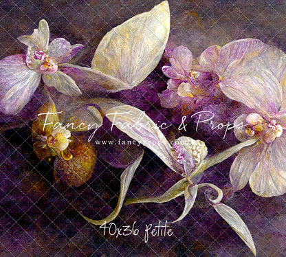 Original Orchid - Petite