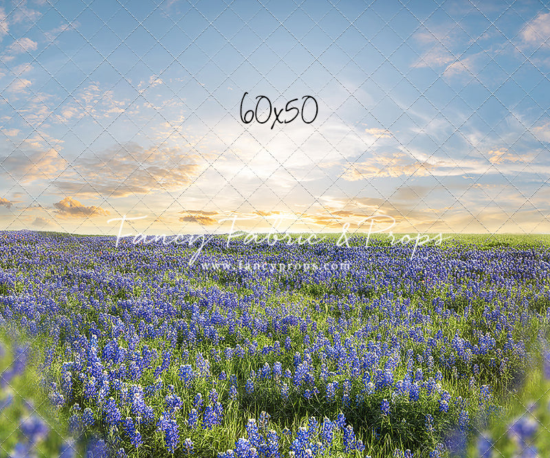 Blue Bonnet Afternoon