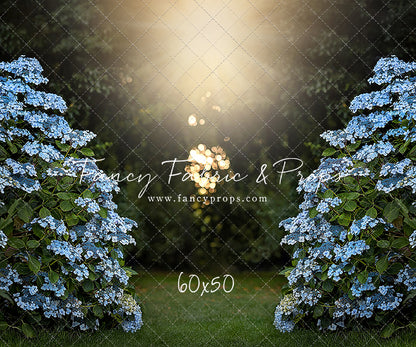 Blue Hydrangea Hideaway