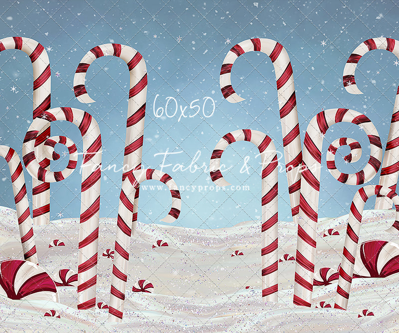 Candy Cane Forest