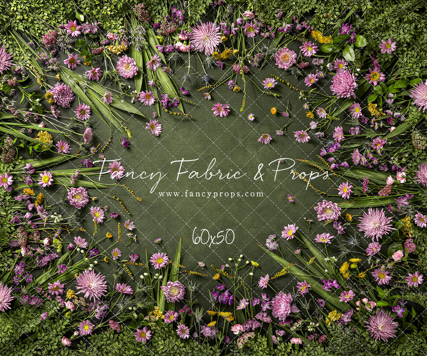 Chrysanthemum Blooms