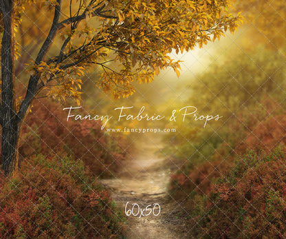 Dreamy Evening Path - With Sweep Option