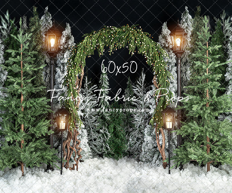 Evening Tree Farm Stroll