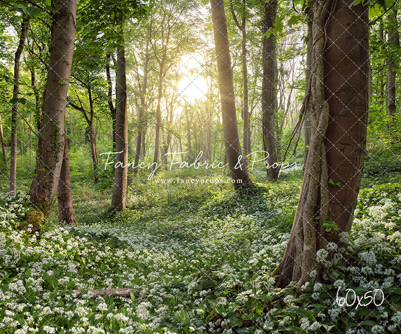 Flowering Forest White Meadow