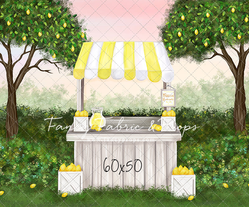 Little Lemonade Stand