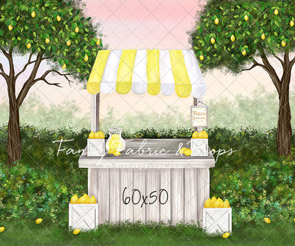 Little Lemonade Stand