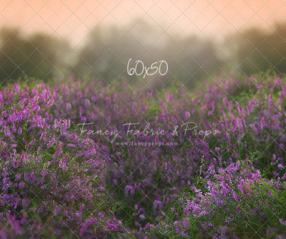 Love In Lavender