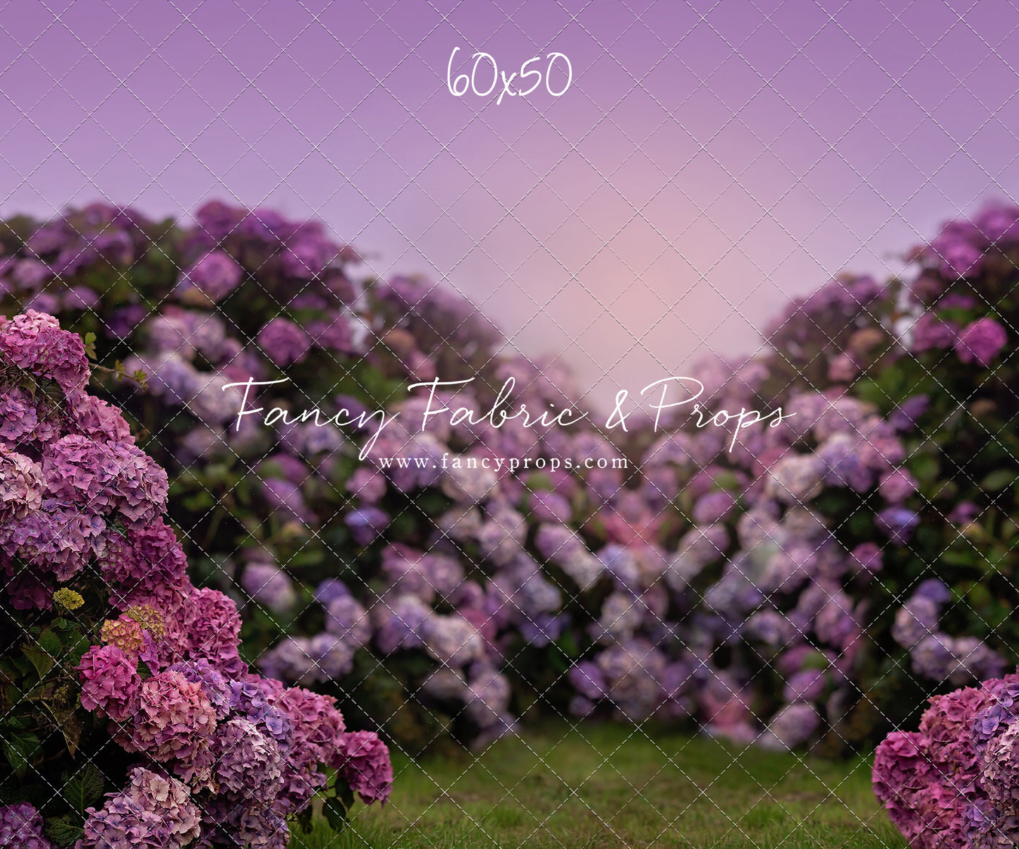 Purple Hydrangea Hollow