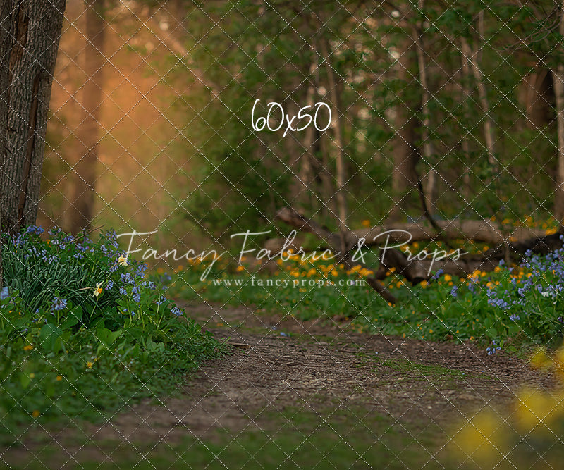 Spring Bluebell Path