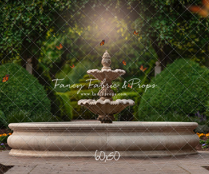 Tranquil Fountain