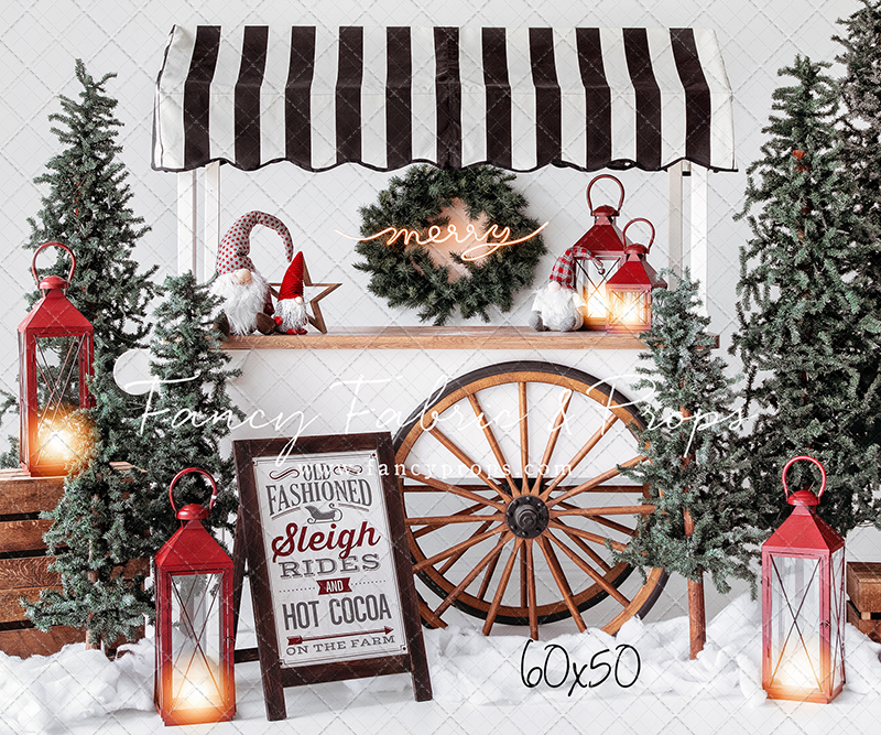 Sleigh Rides For Sale