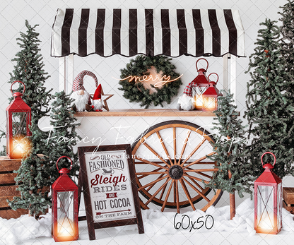 Sleigh Rides For Sale