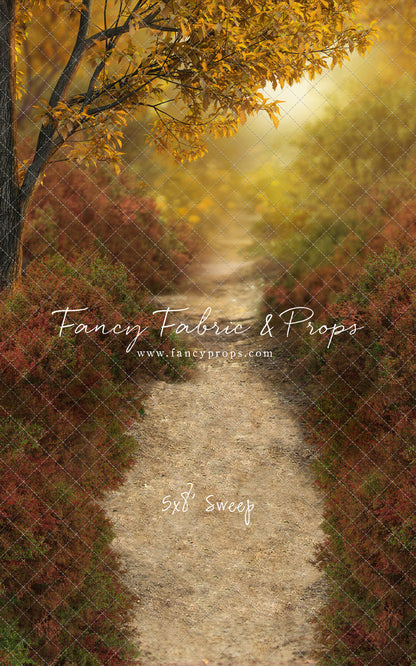 Dreamy Evening Path - With Sweep Option