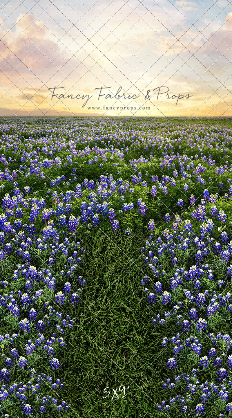 Blue Bonnet Sunrise - With Sweep Option