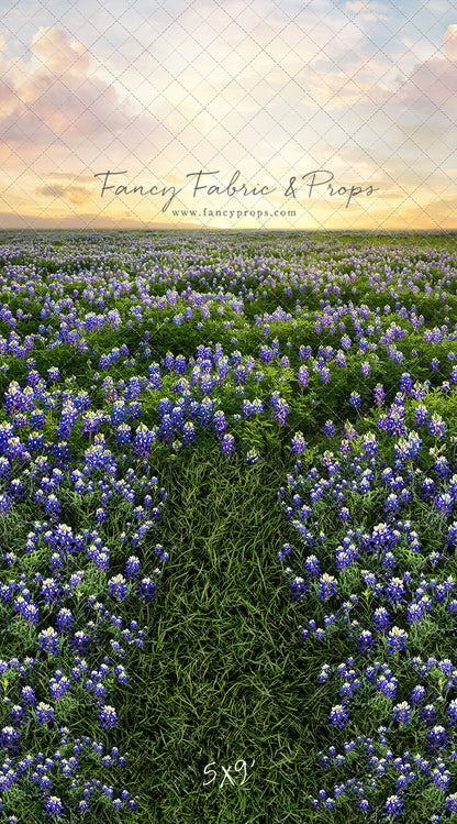 Blue Bonnet Sunrise - With Sweep Option