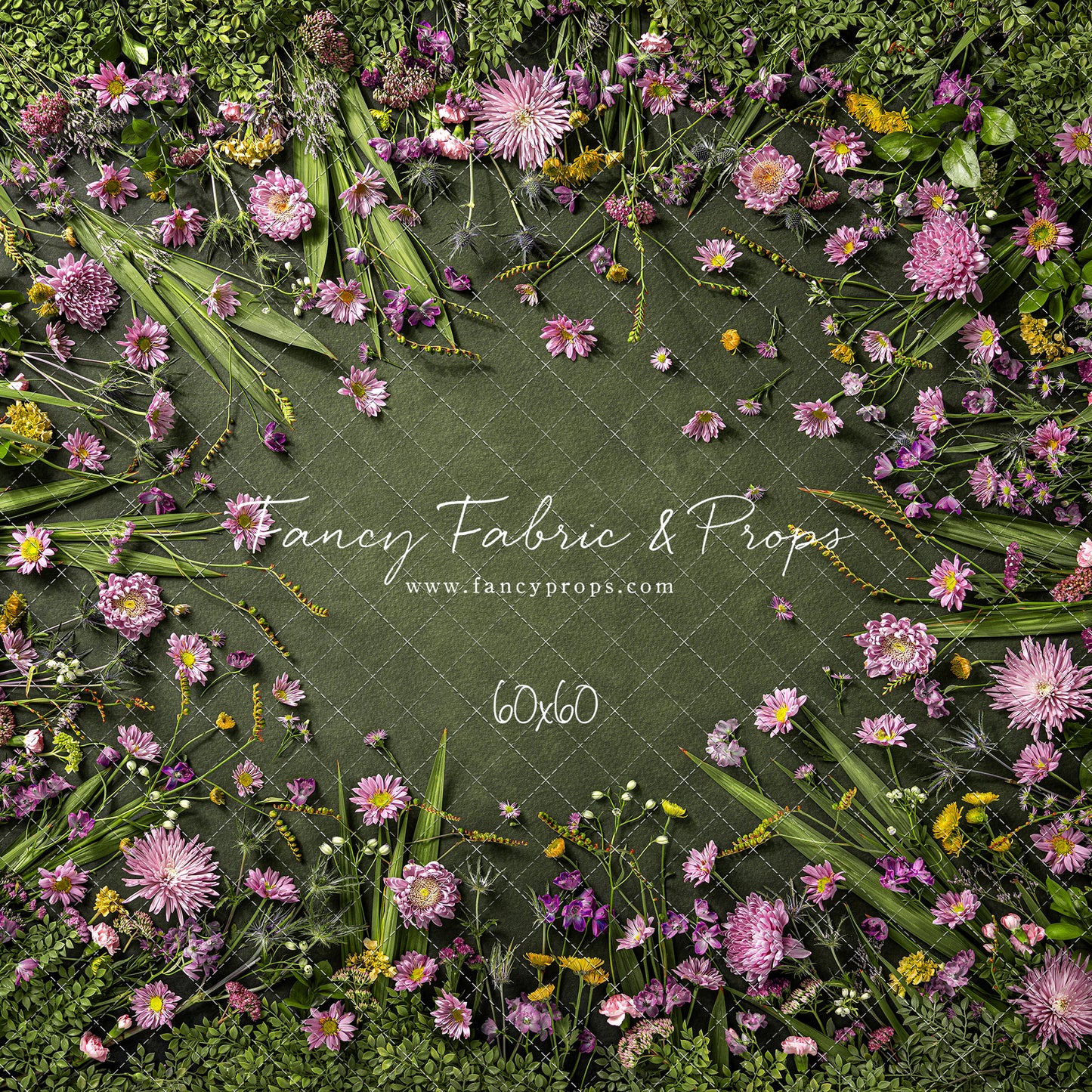 Chrysanthemum Blooms