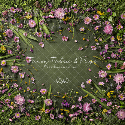 Chrysanthemum Blooms