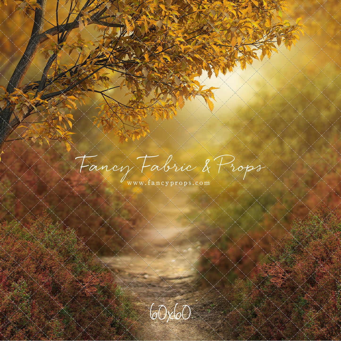 Dreamy Evening Path - With Sweep Option