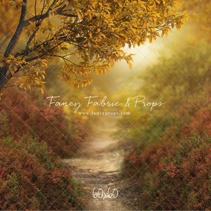 Dreamy Evening Path - With Sweep Option