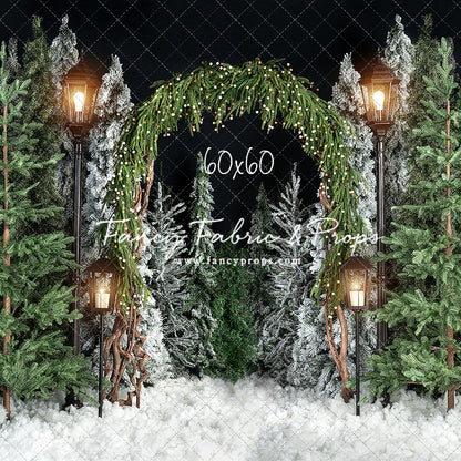 Evening Tree Farm Stroll