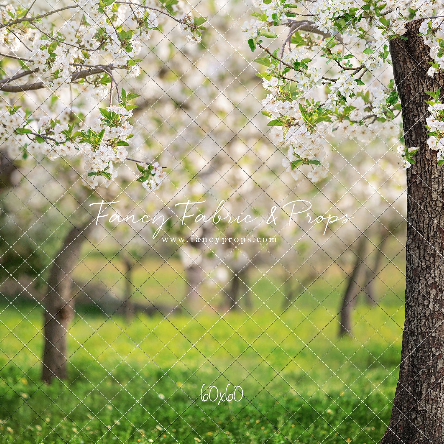 Flowering Forest Trees