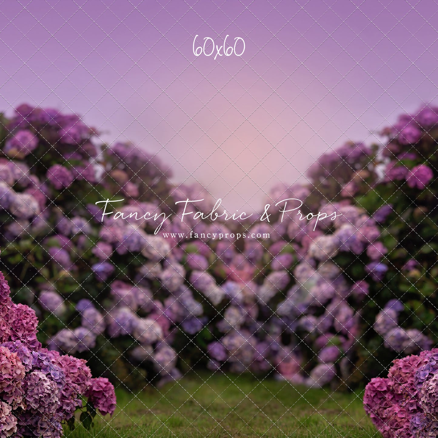 Purple Hydrangea Hollow