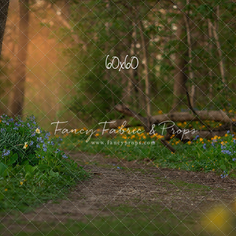 Spring Bluebell Path