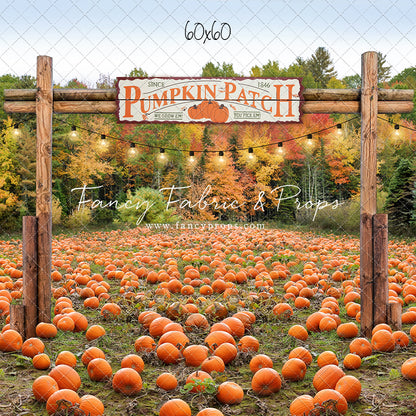 Welcome To The Pumpkin Patch