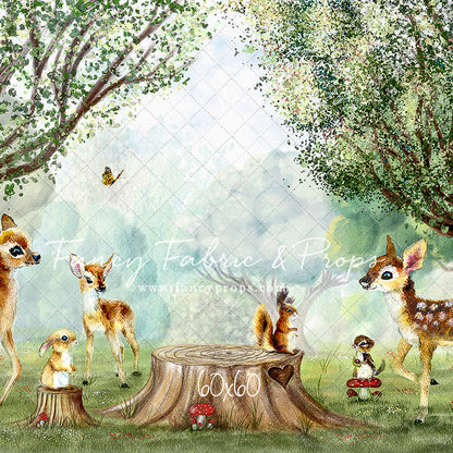 Woodland Wonderland