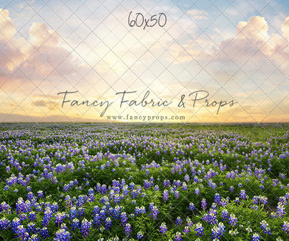 Blue Bonnet Sunrise - With Sweep Option