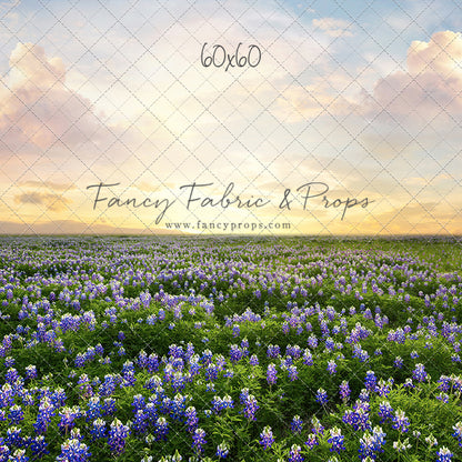 Blue Bonnet Sunrise - With Sweep Option